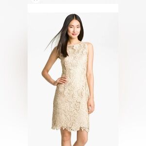 Adriana  papell  sleeveless lace floral dress, 20W ( b30)